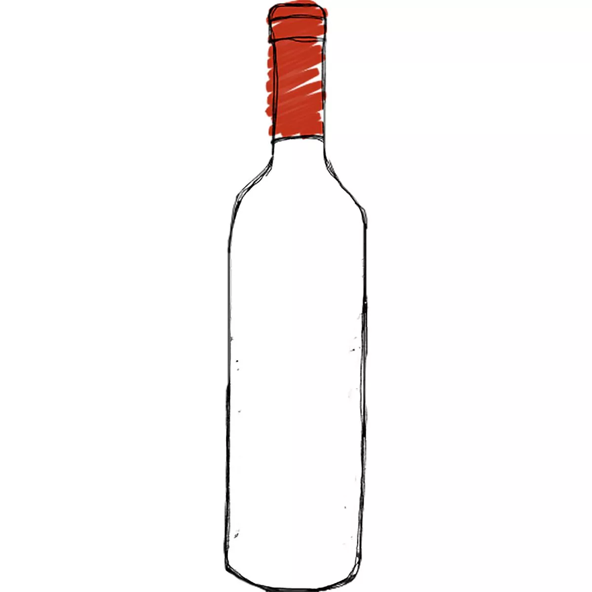 Domaine de la Cte Pinot Noir, La Cte Vineyard 2023