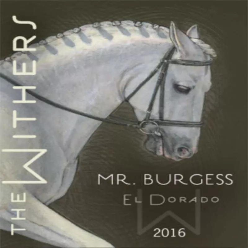 mr-burgess-withers-2016 “Mr. Burgess”, The Withers 2016