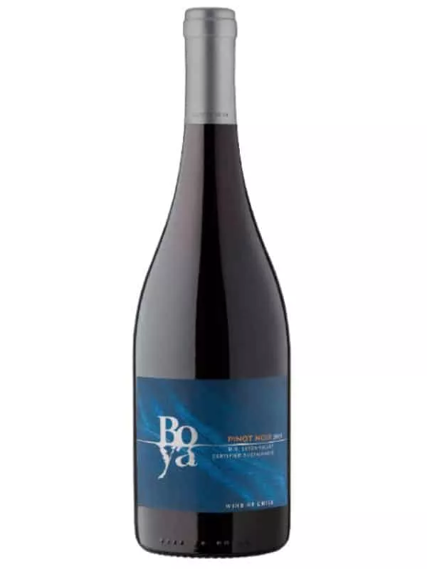 vina-garces-silva-boya-pinot-noir-750ml Vina Garces Silva Boya Pinot Noir 750ml