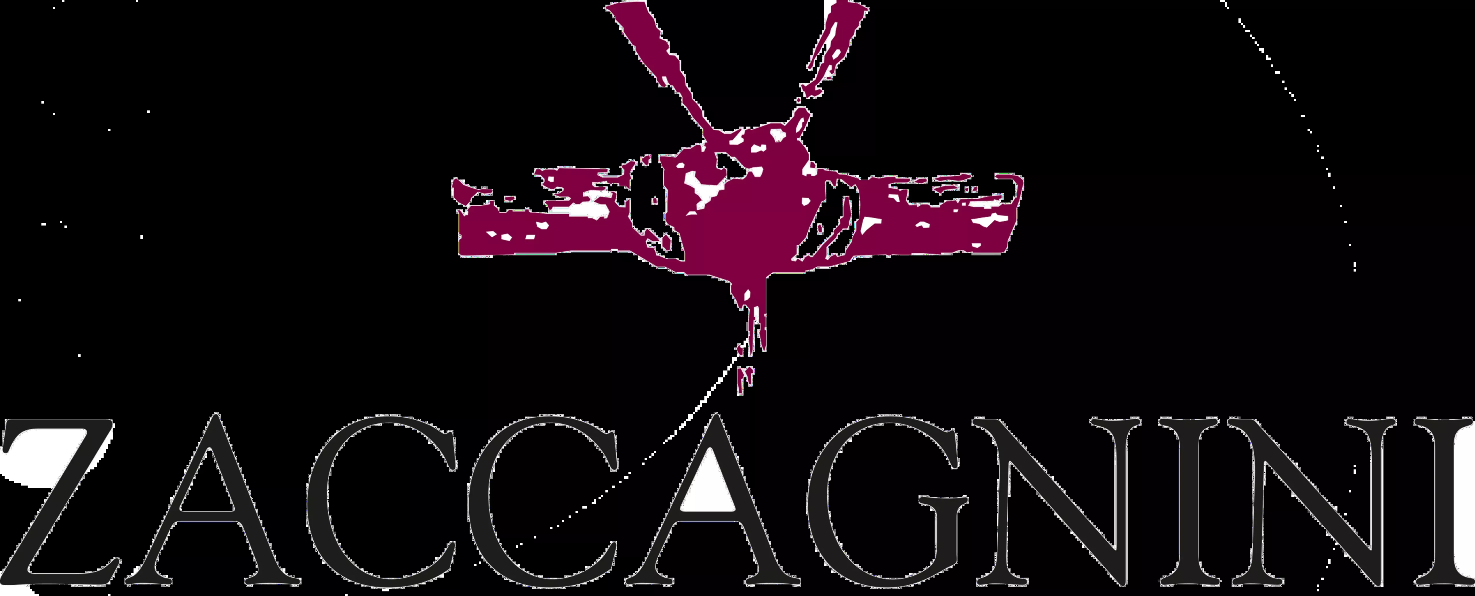Zaccagnini Montepulciano 21 Tray 750ML